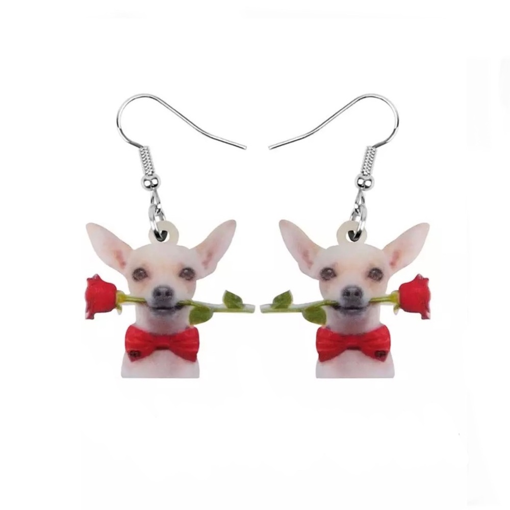 FREE SHIPPING | Double-Sided Acrylic Dangle Earrings NWT